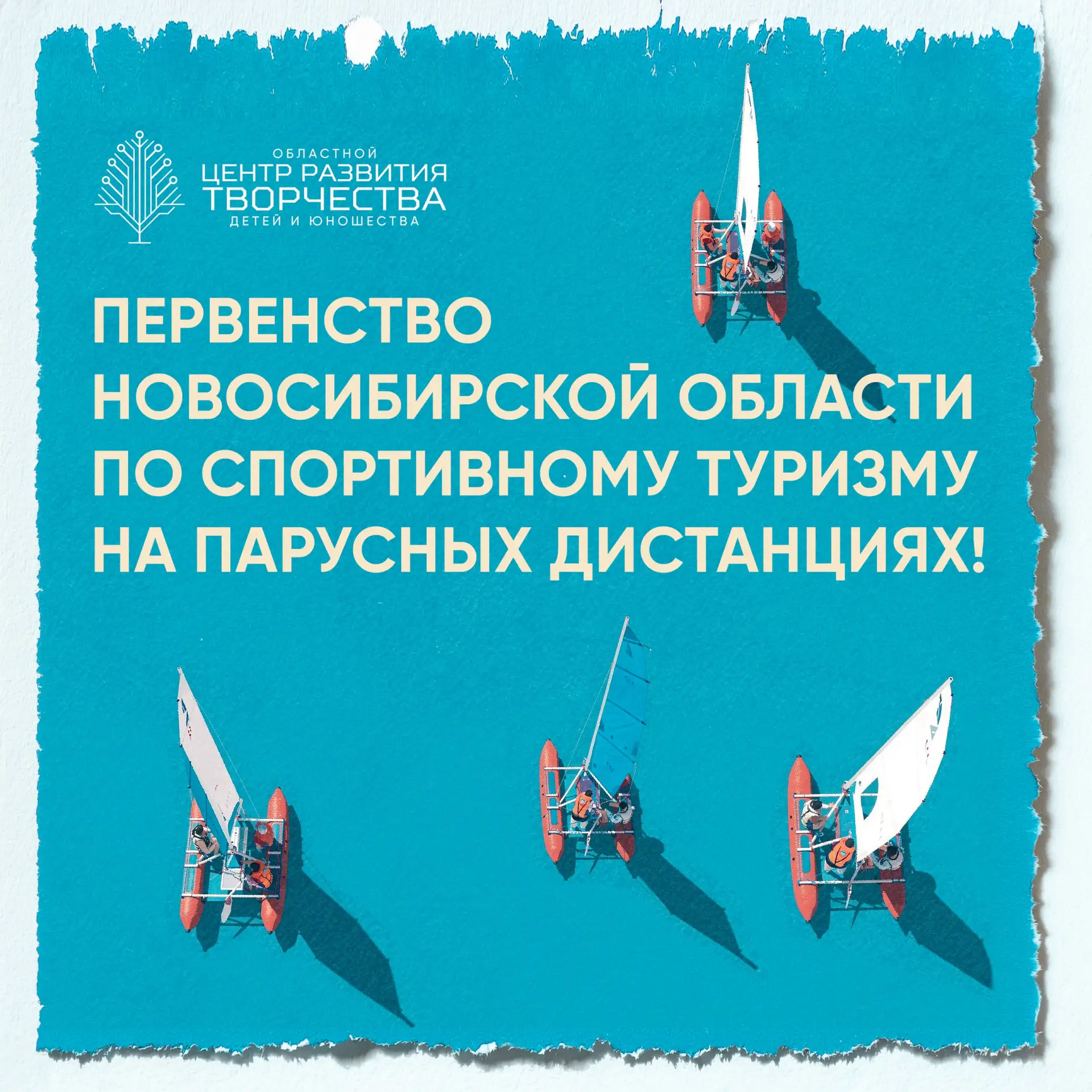 Ветер в паруса! ⛵