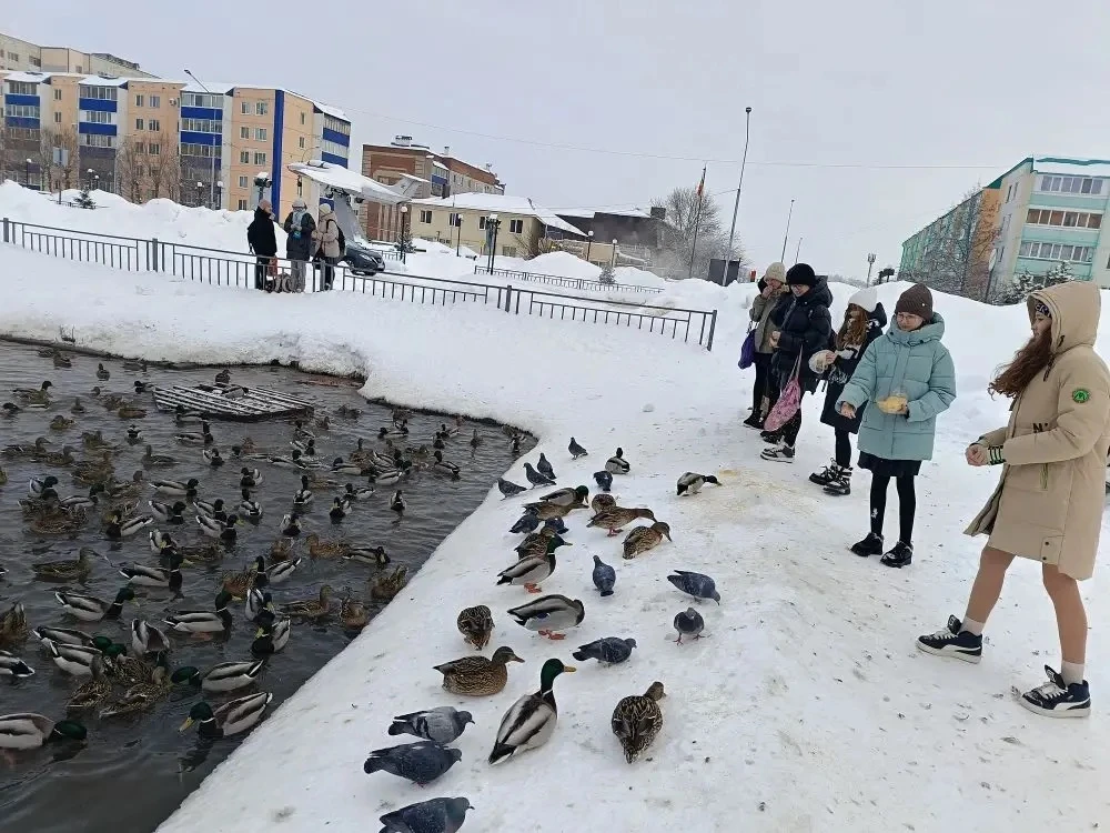 Сегодня учащиеся 6Г класса сходили  на прогулку к местному водоёму, чтобы покормить уток. Ребята соб