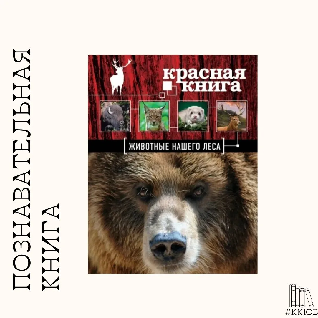 👋Дорогие друзья, мы продолжаем знакомить вас с познавательными книгами читального зала...