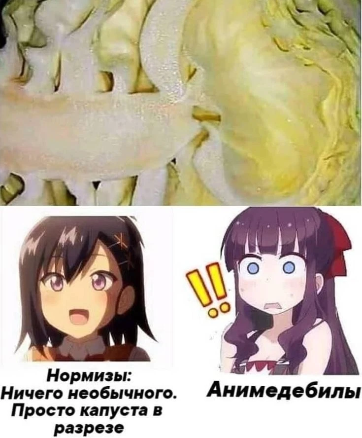 Капуста, но с претензией на арт