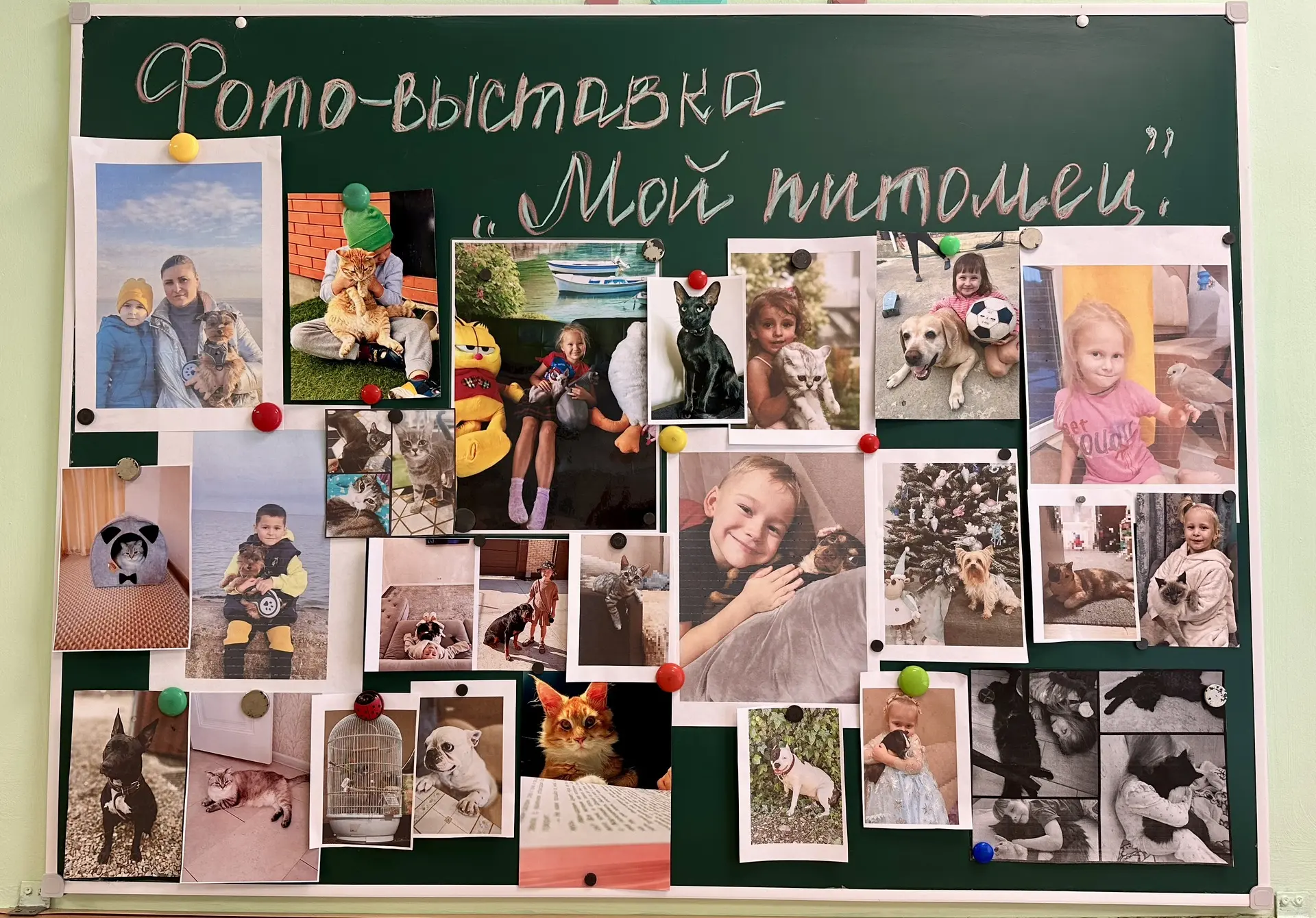 В нашем детском саду,  в группе №2 «Ручеёк» прошла трогательная фотовыставка «Мой питомец». Ребята п