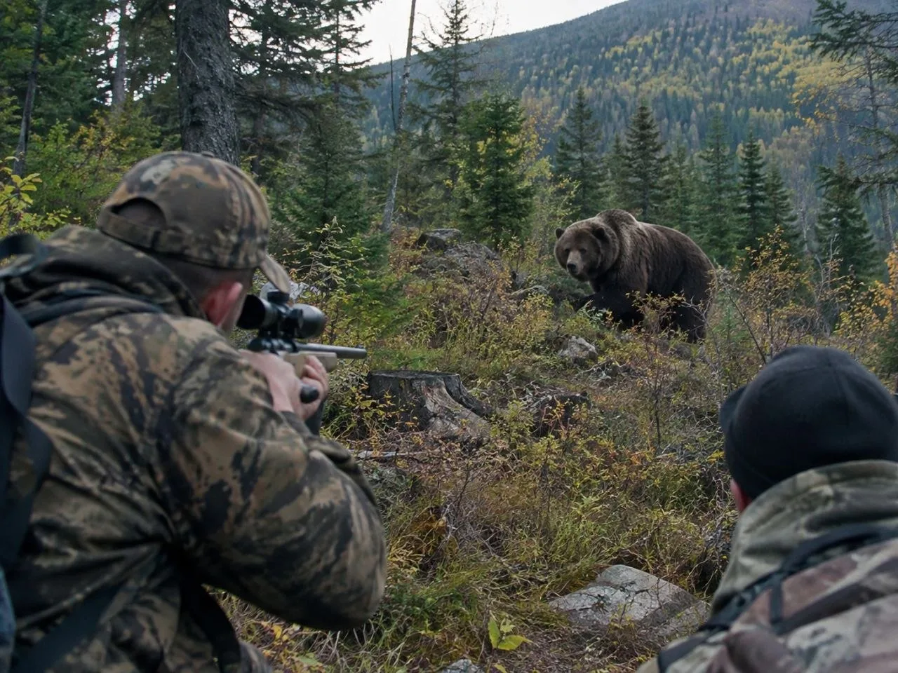 🐻 Количество убитых медведей на Алтае достигло 187
