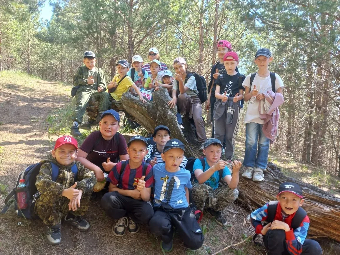 🌳🌲В мир природы 🌿☘️🍀