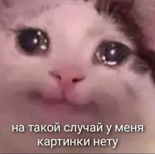 Утречка! С последней неделей лета 😭