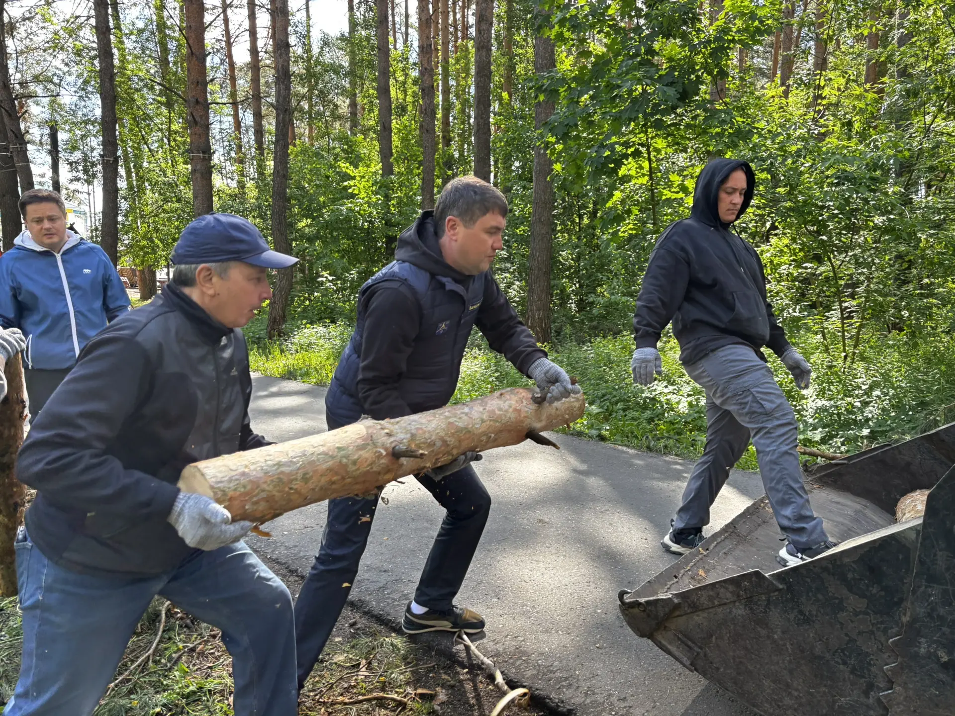 Устраняем последствия урагана.