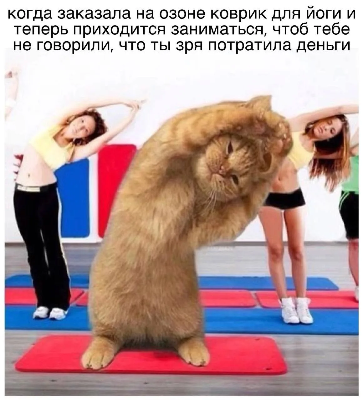 💡 Если разместить его на видном месте, то точно придётся заниматься!