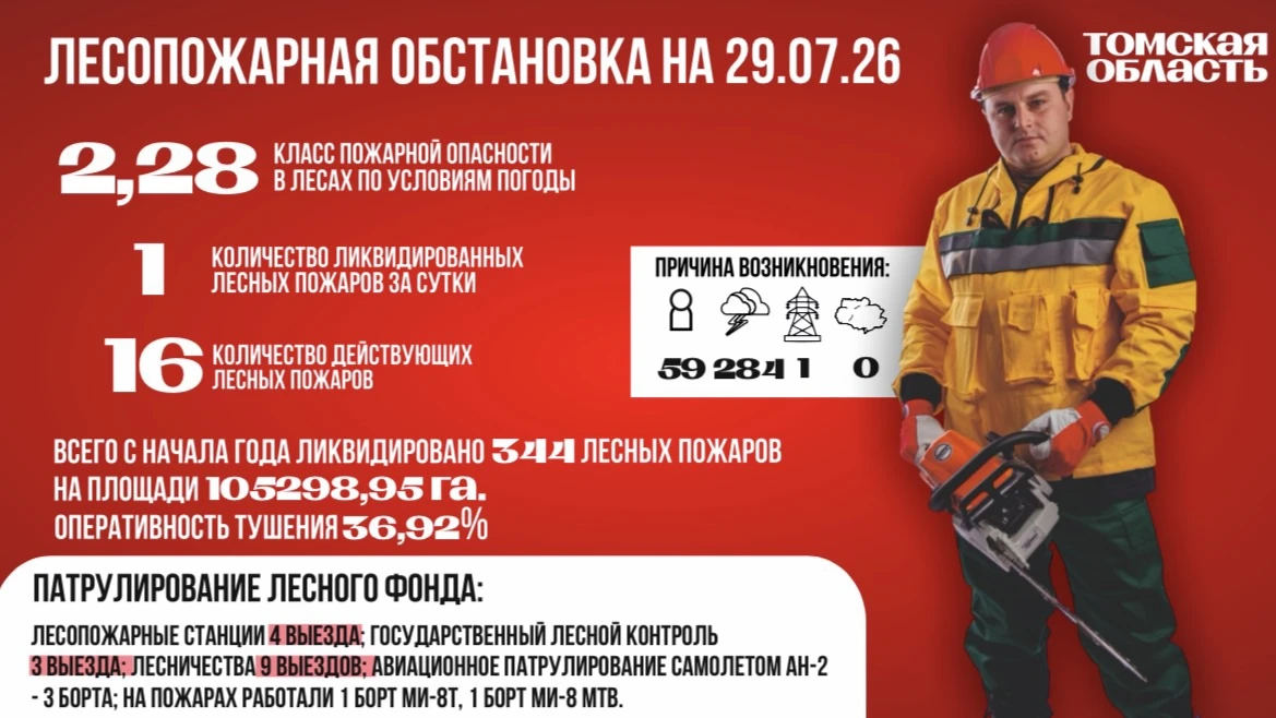 На территории Томской области класс пожарной опасности в лесах по условиям погоды 2,28 (средняя пожа