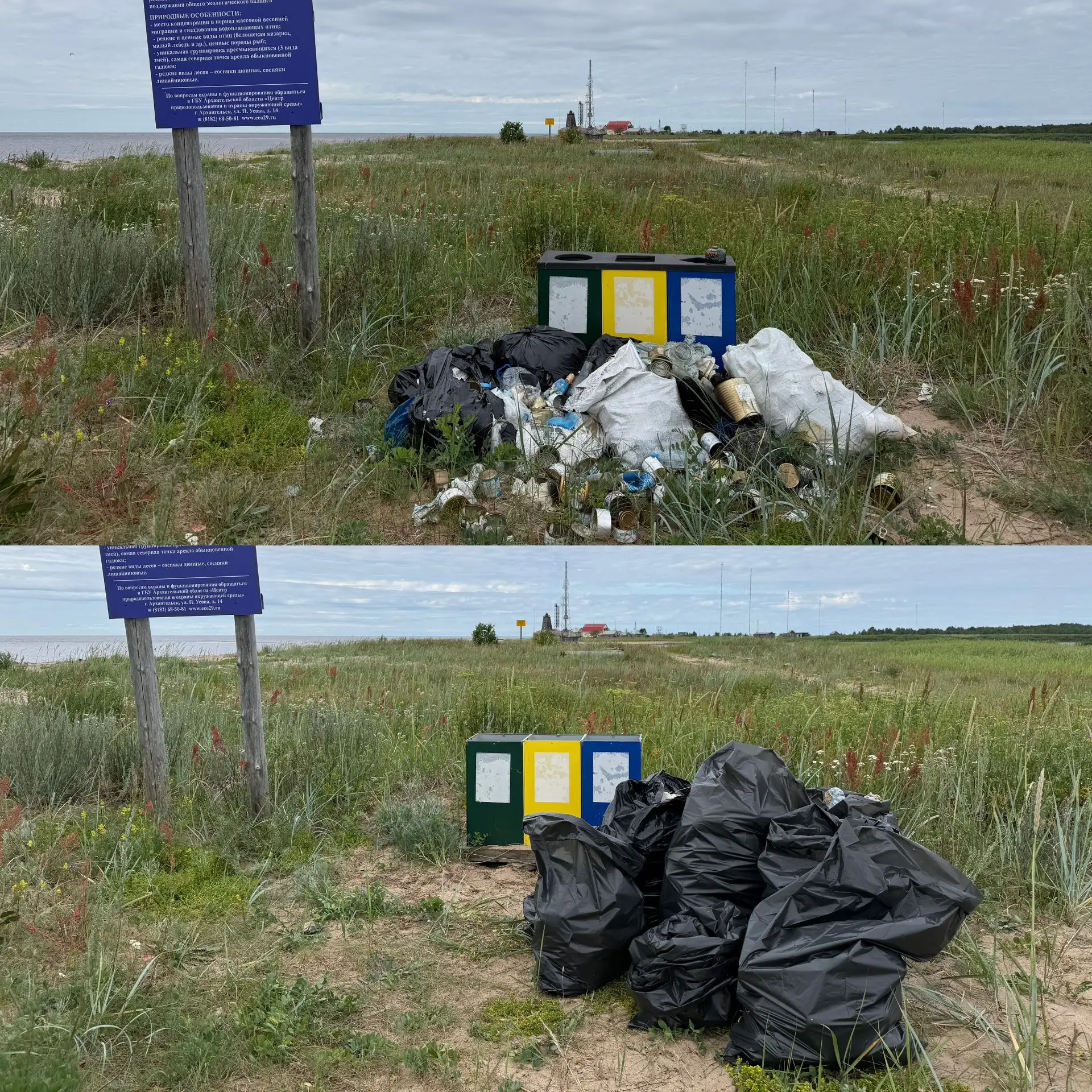 ⚡️♻️Акции по уборке ООПТ в июне

Ежегодно с мая по октябрь сотрудники ГБУ АО «Экоцентр» проводят эко