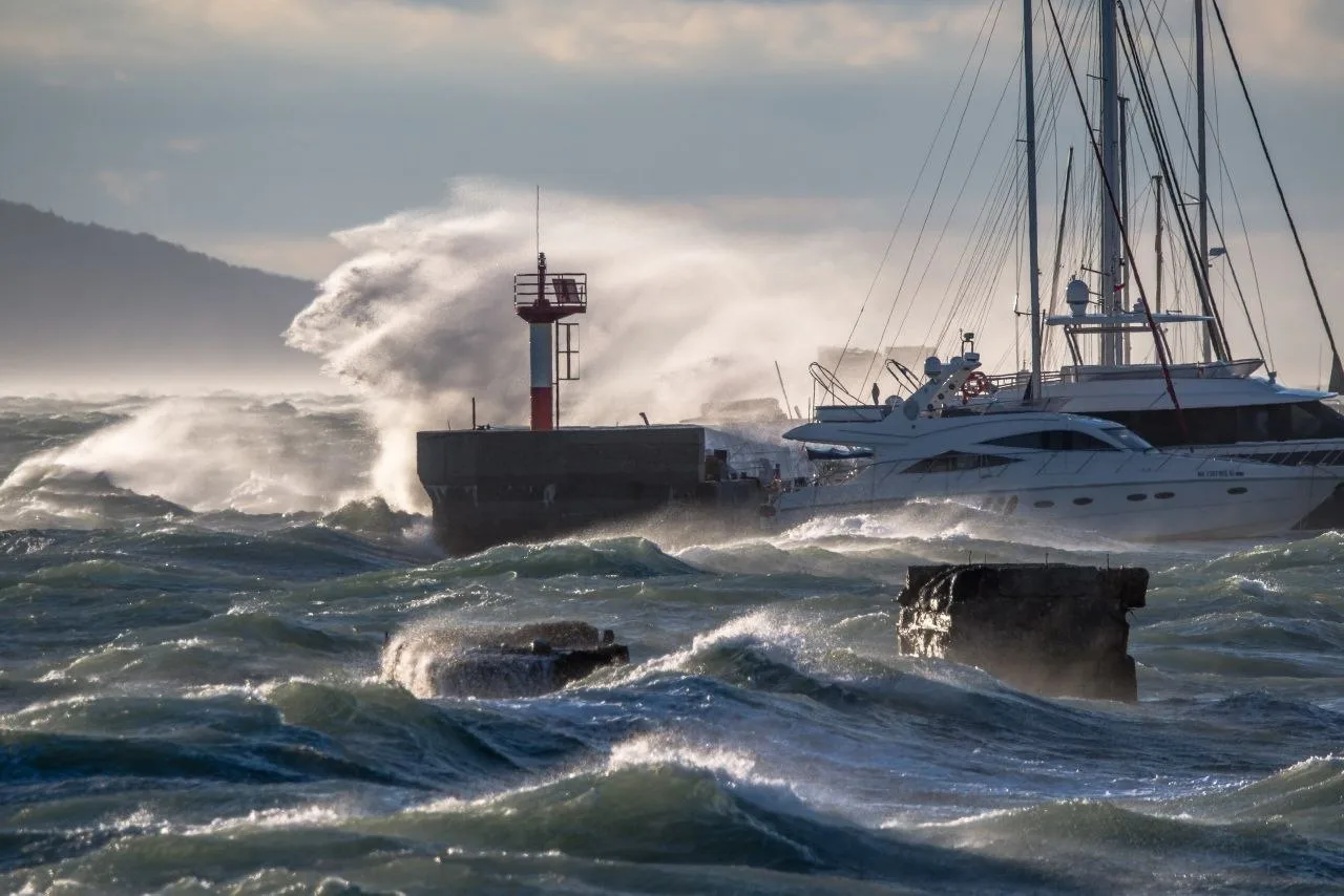 Новороссийск сегодня ⚓
