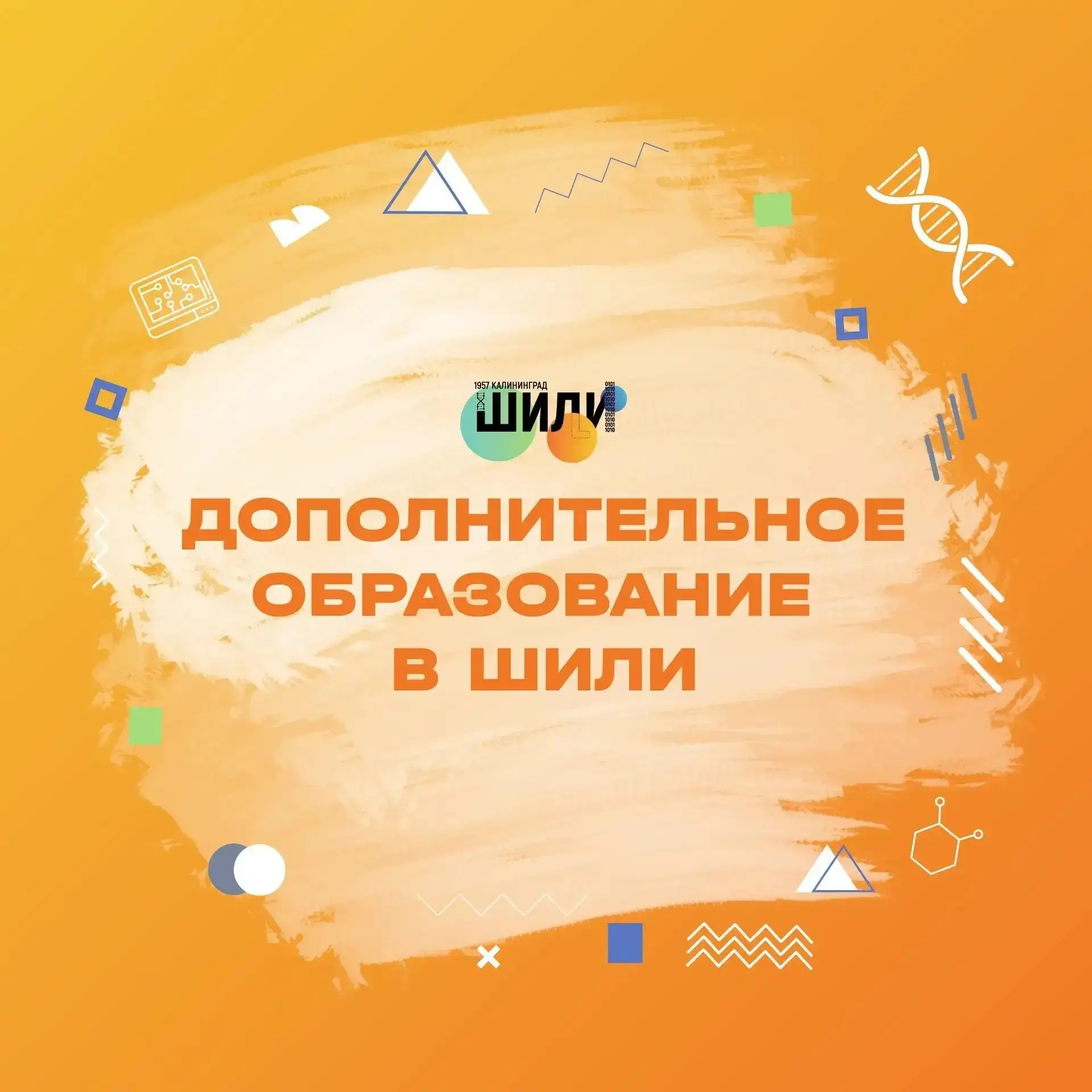 🌟 Открой новые горизонты с бесплатным дополнительным образованием в ШИЛИ!