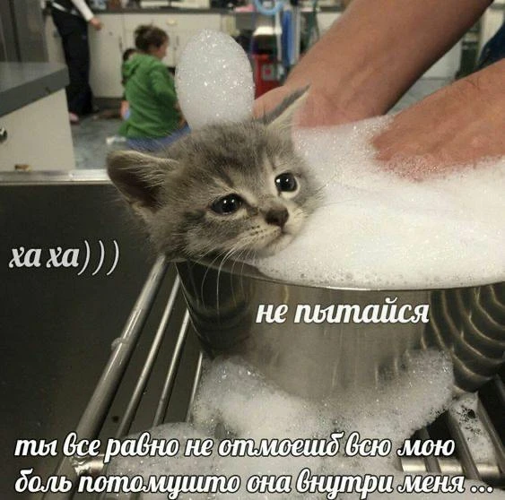 Мемы каждый день • Подписаться