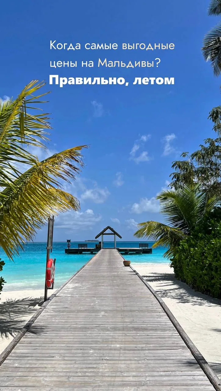 Доступные Мальдивы! 🇲🇻

📍Fihalhohi Maldives 4*

С 20.06/ 7 ночей 
Вылет из Москвы
Завтрак и ужин 