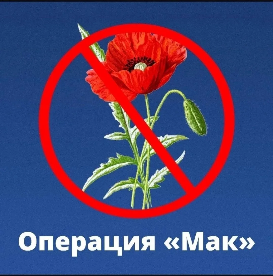 На территории Тульской области проводится 2-ой этап операции «Мак-2026».