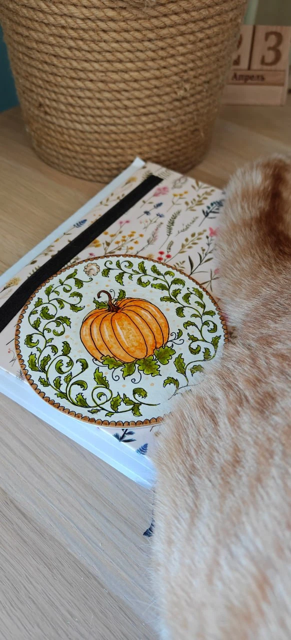 Лосось как-то не очень уважительно относится к моему творчеству... )) #кототерапия #личныефото

Чита