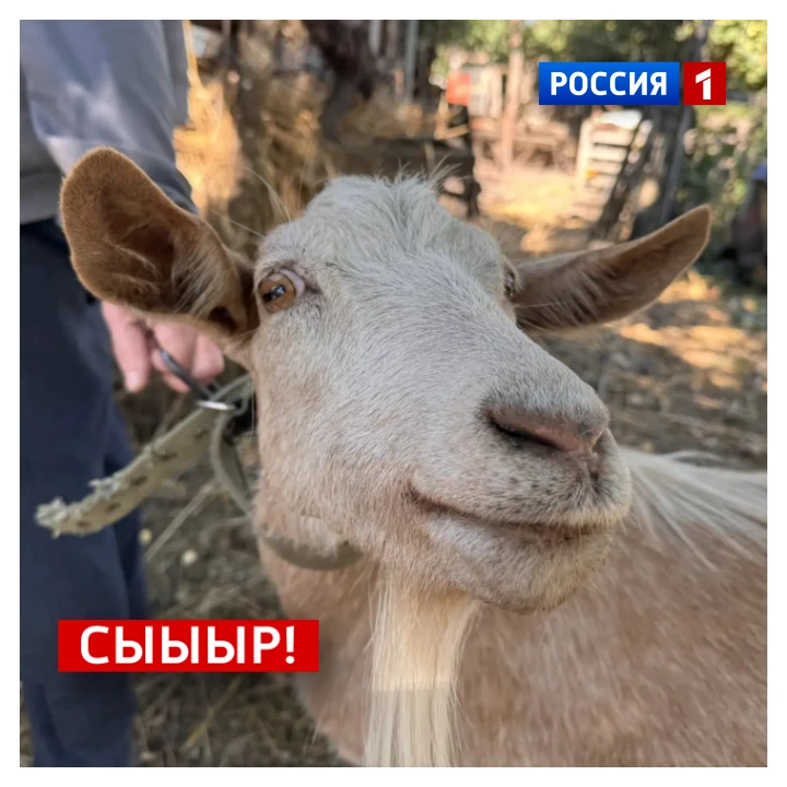 🗓️ 2 октября, пятница