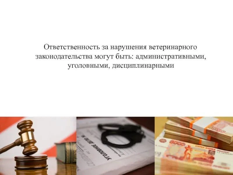 Управление Россельхознадзора по Ростовской, Волгоградской и Астраханской областям и Рес...