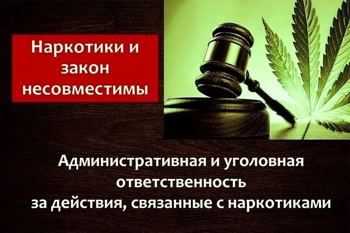 На территории РФ свободный оборот наркотических средств ЗАПРЕЩЕН!