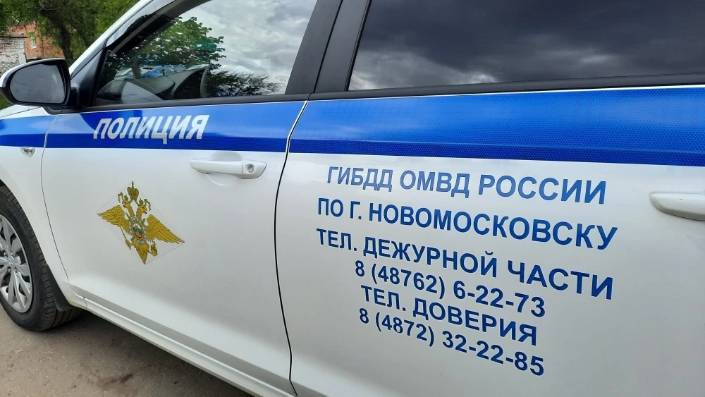 Покупка игрового аккаунта стоила жителю Новомосковска 262 тысячи рублей