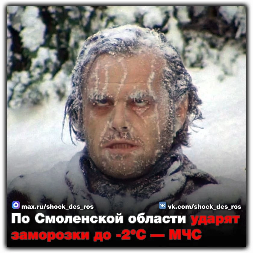 🔴 По Смоленской области ударят заморозки до -2°С — МЧС