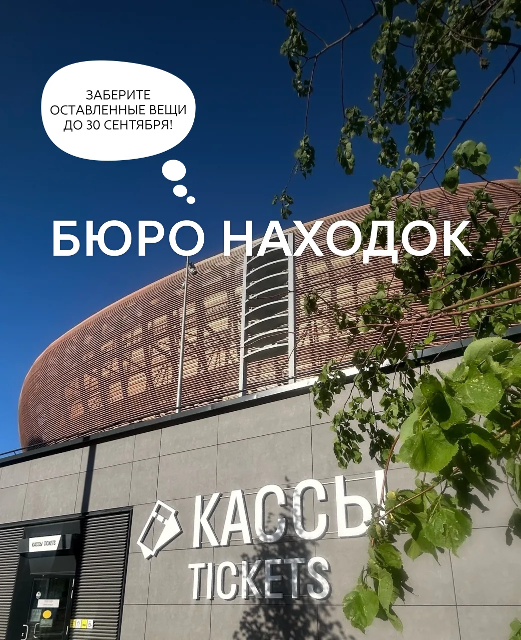 Потеряли что-то на арене – не переживайте, мы всё сберегли 🤝