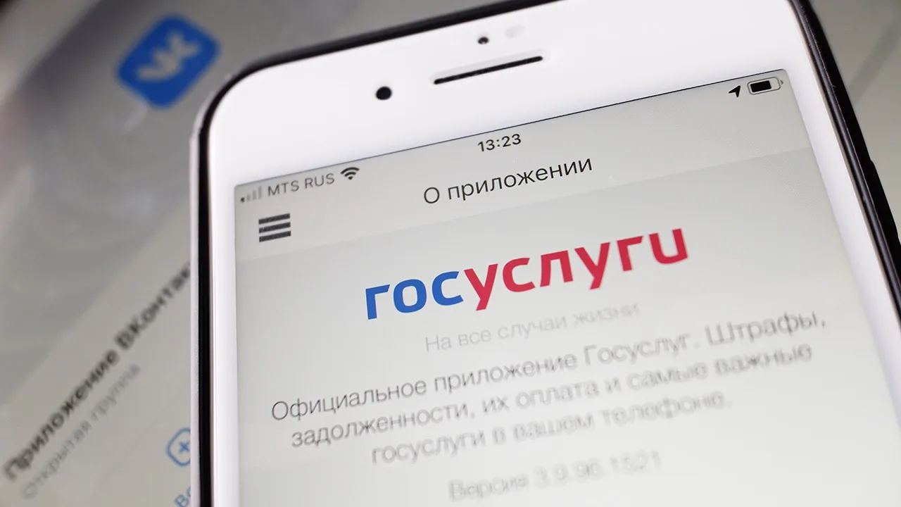 Проверьте свой лицевой счёт на Госуслугах перед больничным