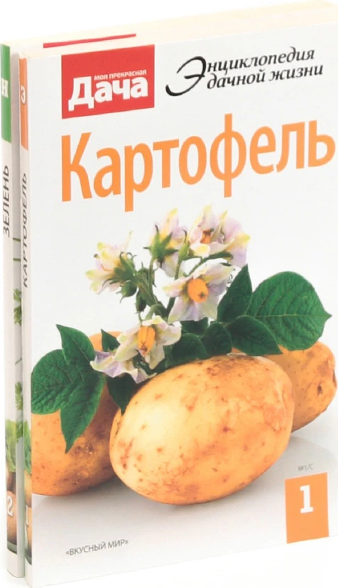 #ЦПИ_Колывань_Культура
🥔История картофеля — это удивительный пример того, как новый продукт может и