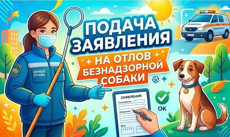 Уважаемые заявители✨