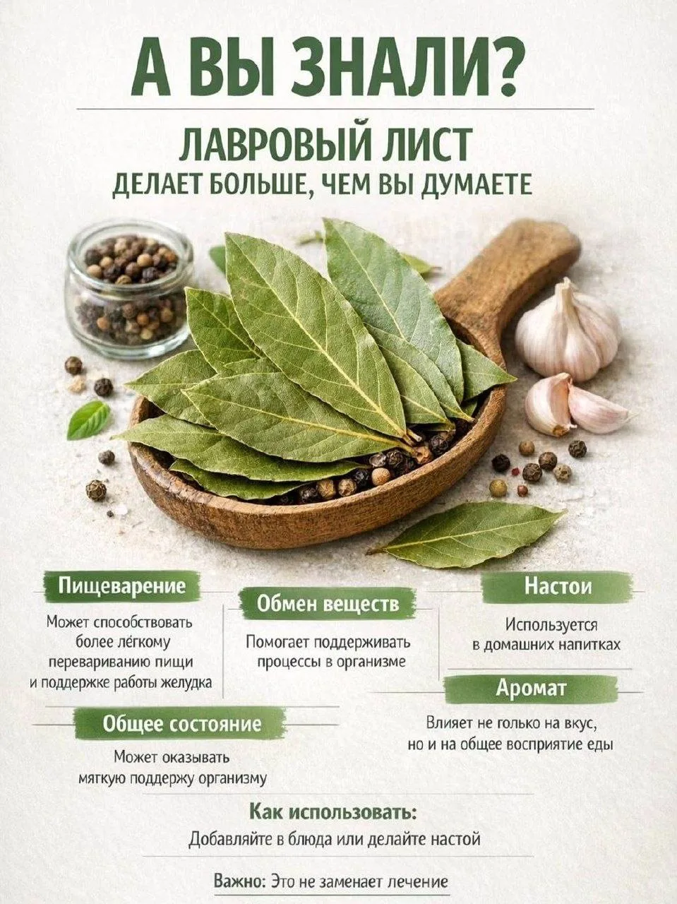 Лавровый лист — больше, чем просто специя.