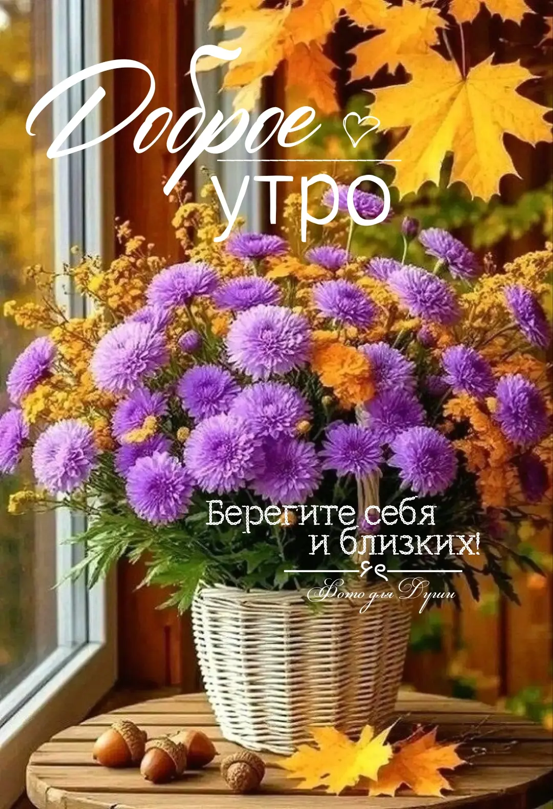 ДОБРОЕ  УТРО  ПОНЕДЕЛЬНИКА.