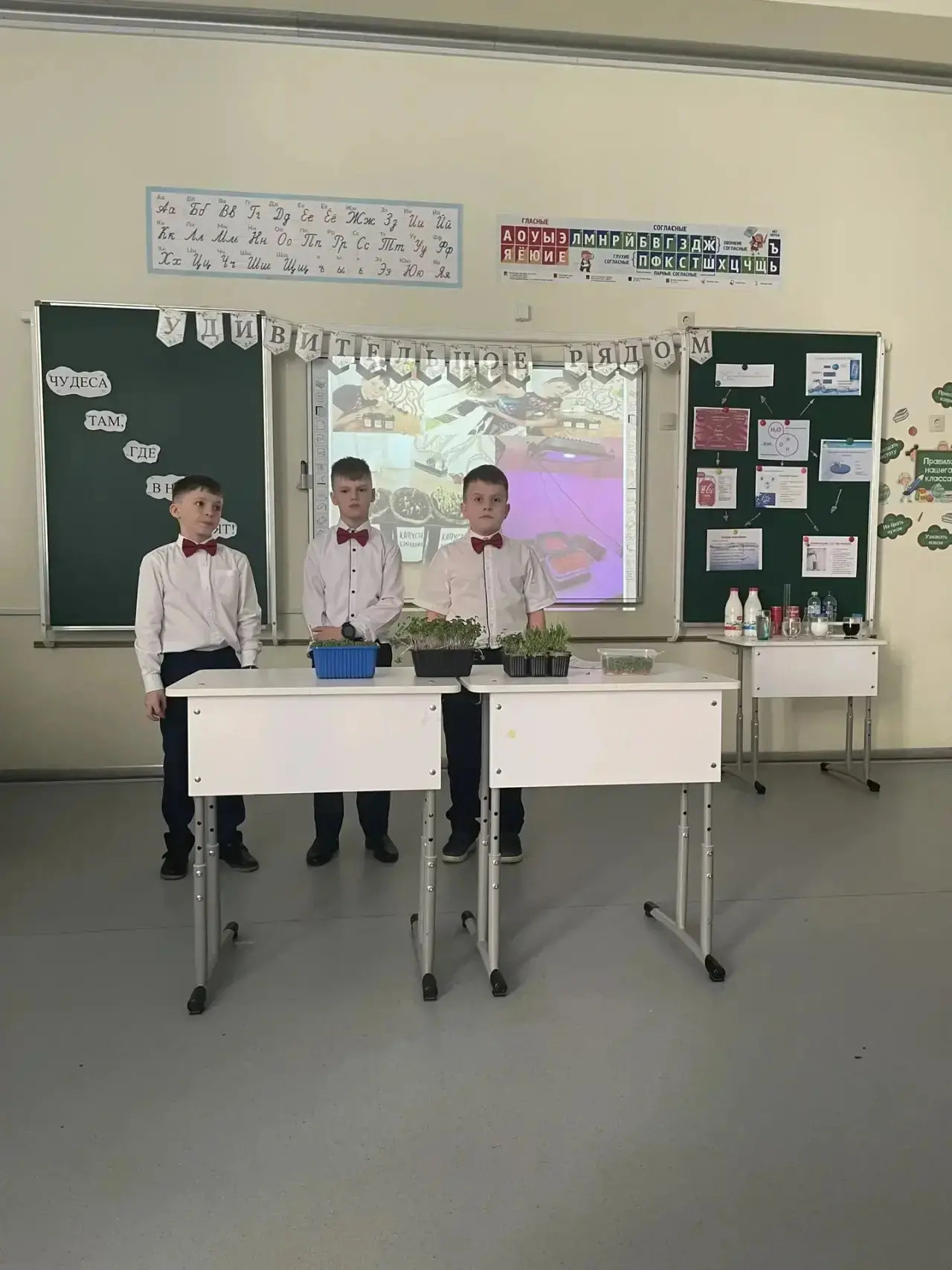 💫Секция "Удивительное  рядом"✨  💫Что может быть удивительного в нашей жизни? А на самом деле простые