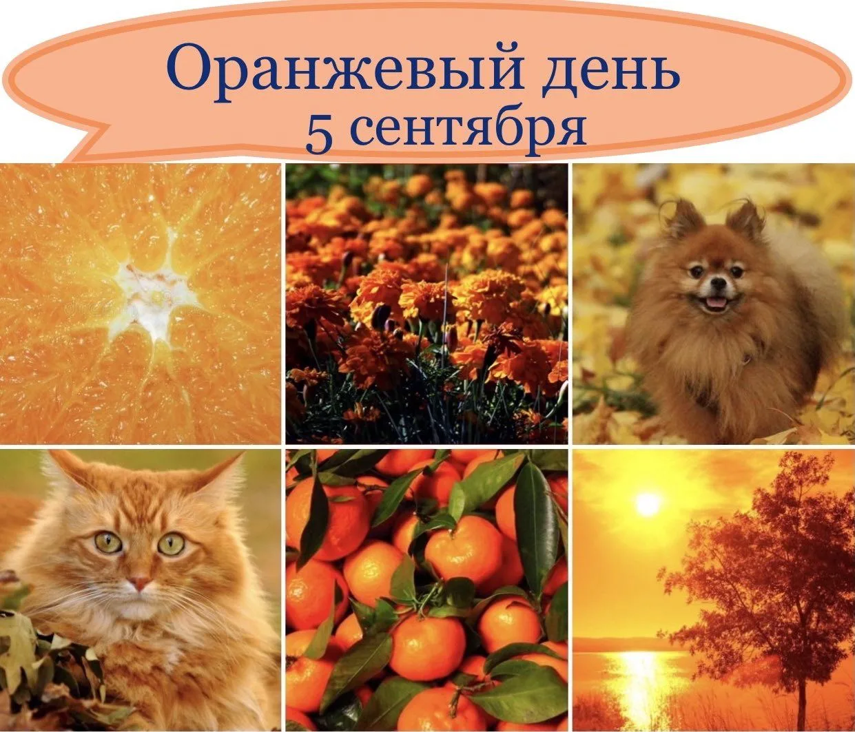 Оранжевый день