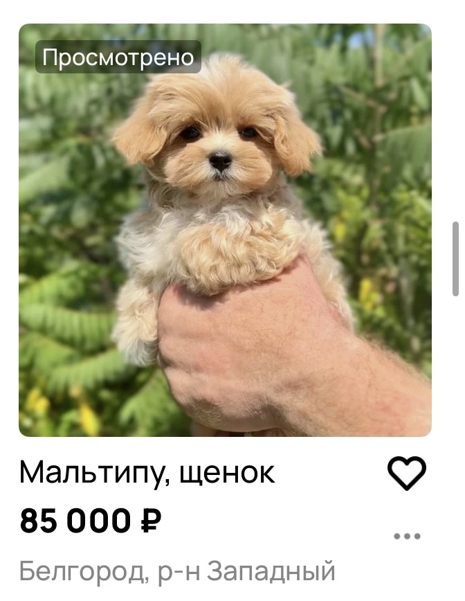 Зачем они мне попадаются😰😭😭😭