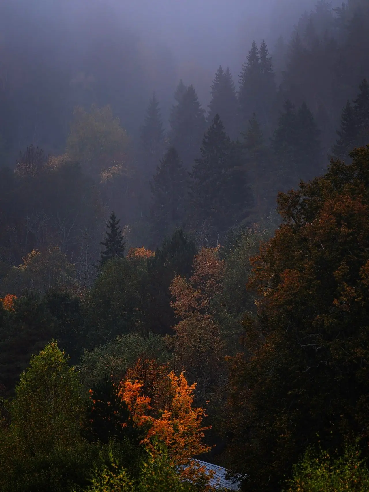 Плёc — оcень, тишина и pусская душа.