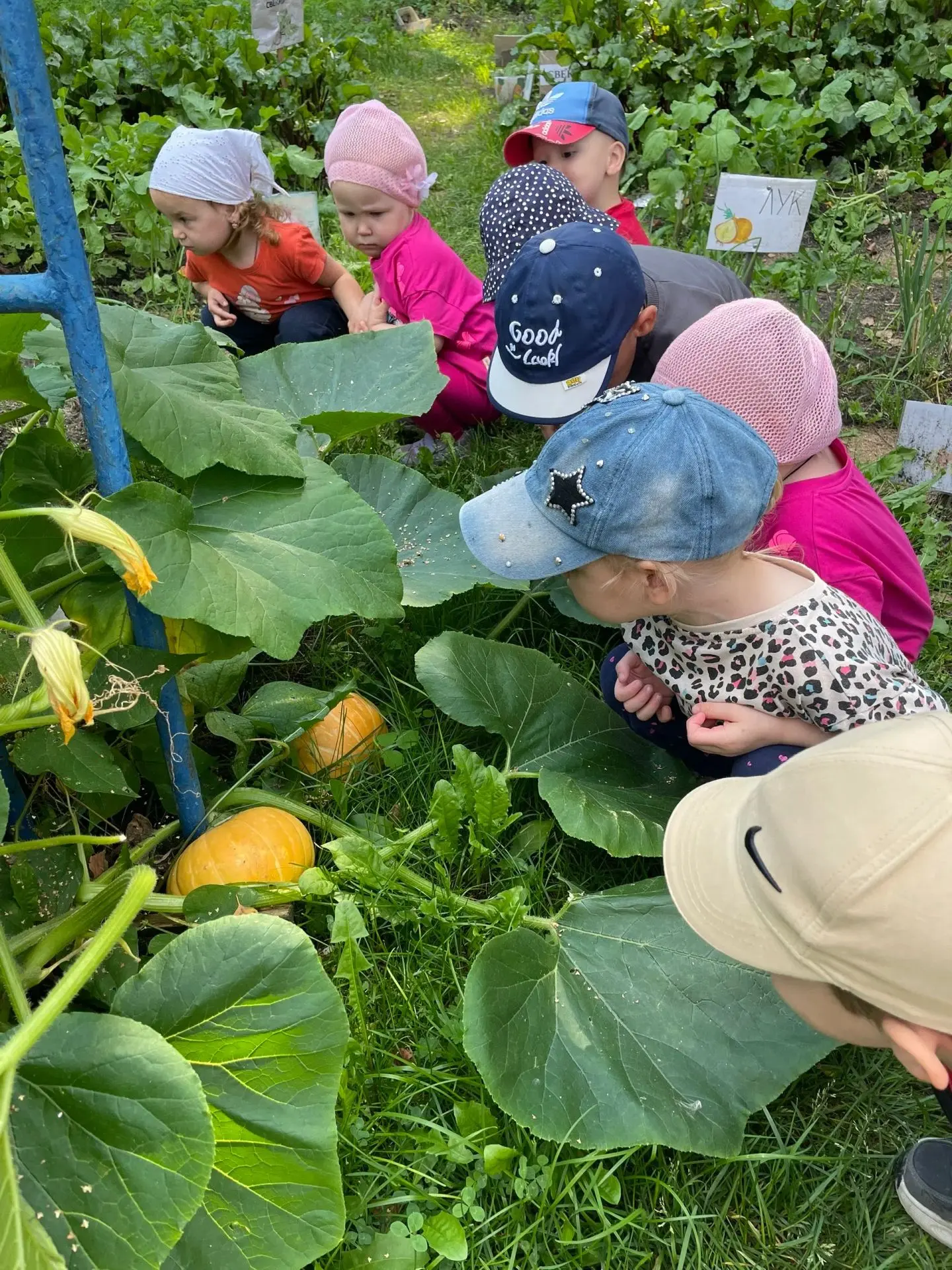 Удивительное открытие сделали ребята из группы 🌈