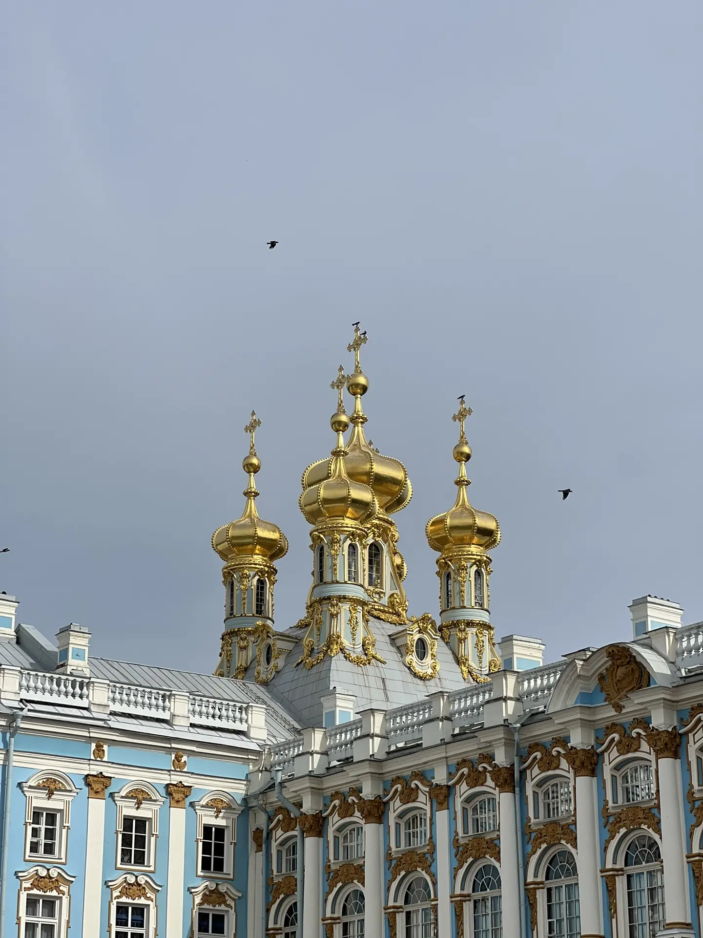 🌟 Санкт-Петербург — время романтики, прогулок и ярких впечатлений! 🌟
