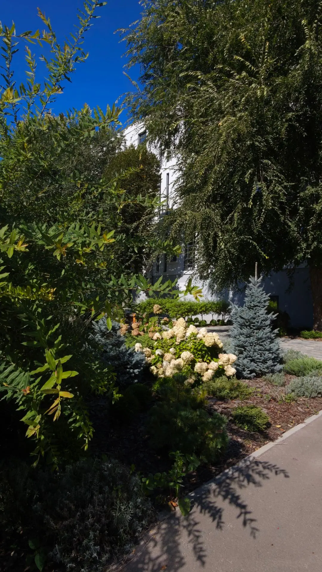 В этой локации тоже можно фотографироваться.