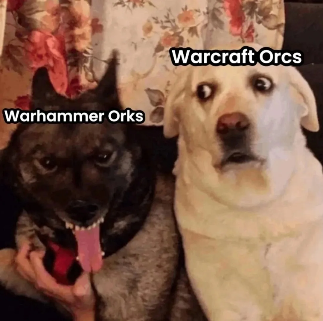 😂😂😂😂