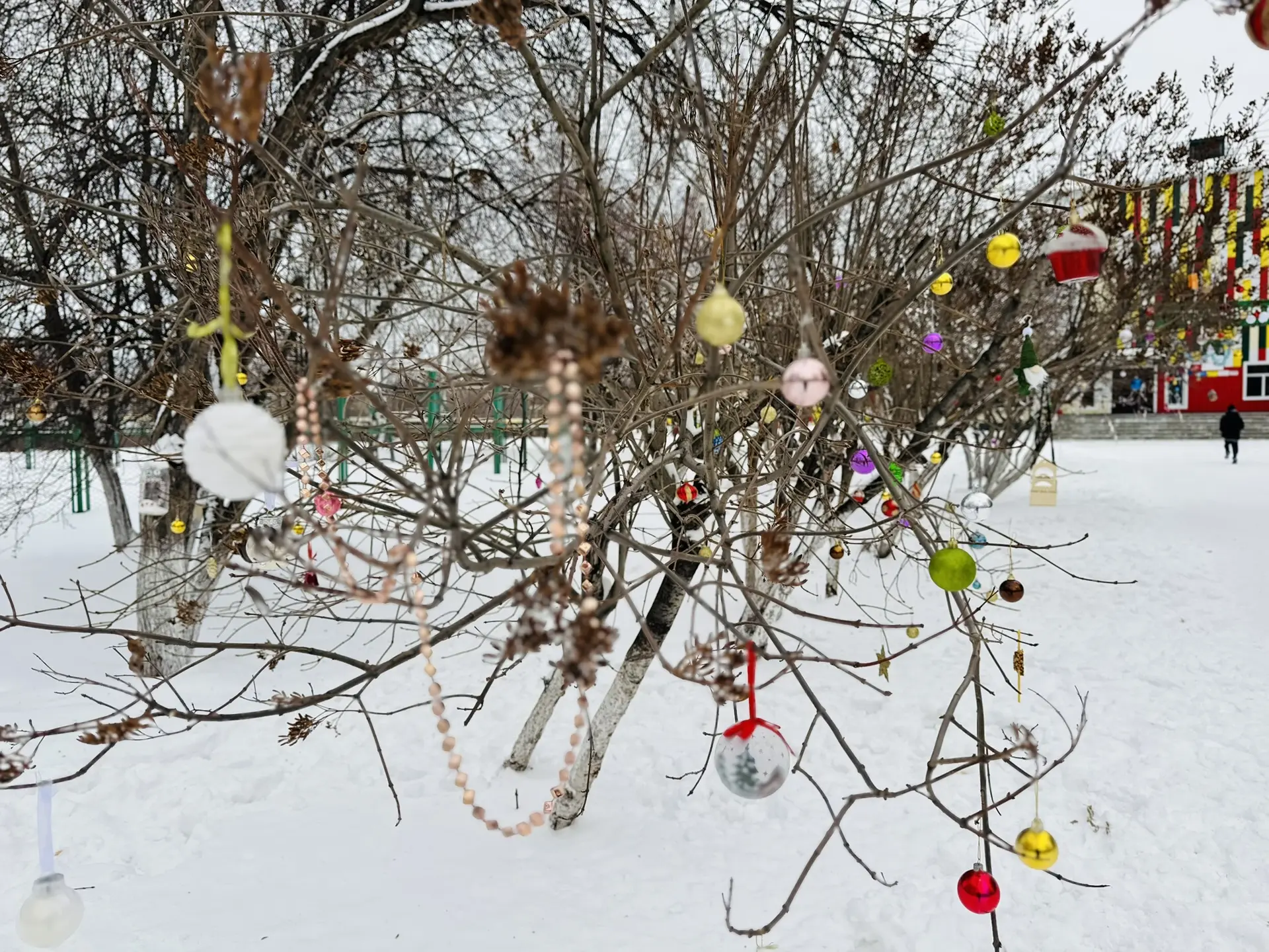 Мы создаем сказку вместе! 🎄✨  Друзья! Продолжается украшение территории любимой гимназии к самому во