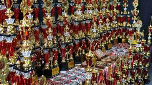 Новосибирские спортсмены завоевали 57 медалей на мемориале Андрея Якутова