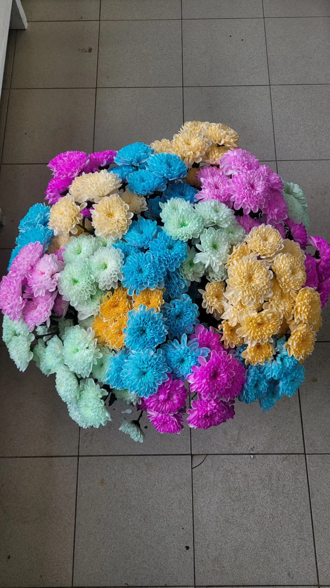 Хризантема кустовая 300р шт микс цветов 💐