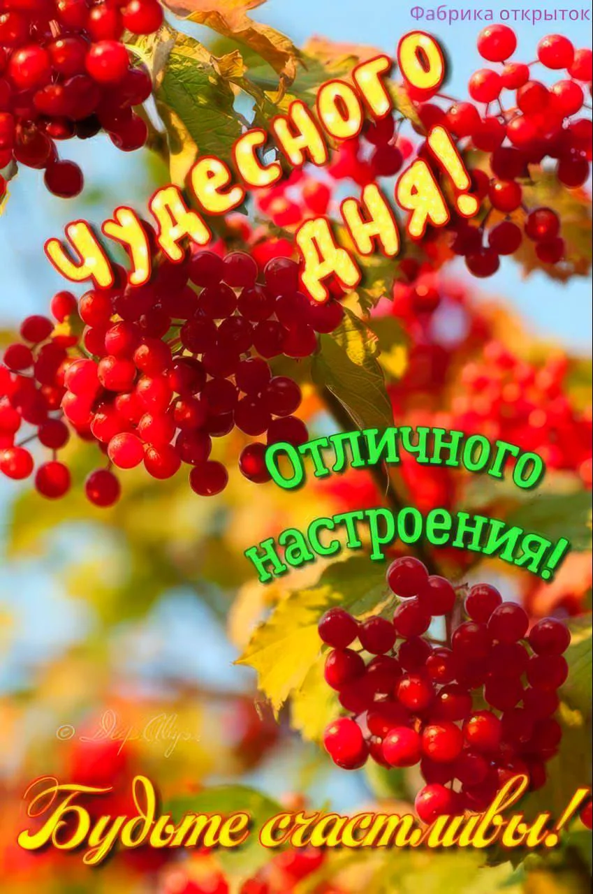 Поздравления Открытки ❤️