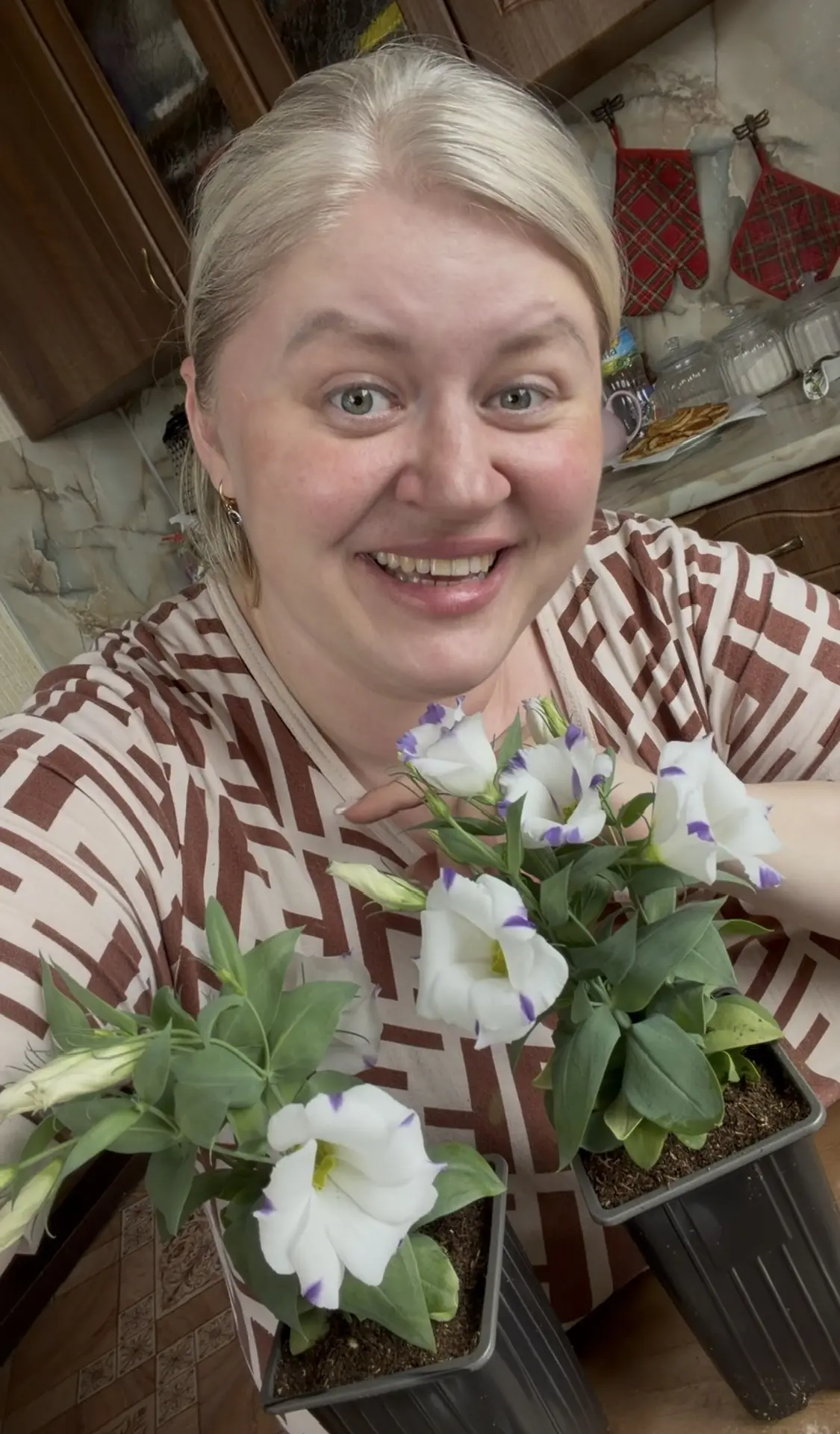 Пересадка и полив эустомы 🌸