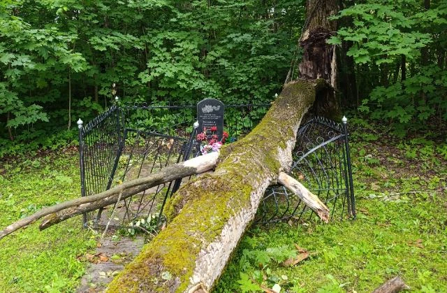 ❗Упавшее дерево на воинском захоронении в Беляйково будут убирать целый месяц

В Дзержинском районе 