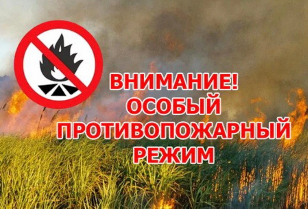 Напоминаем, что на территории республики с 1 июня 2026 года действует особый противопожарный режим. 