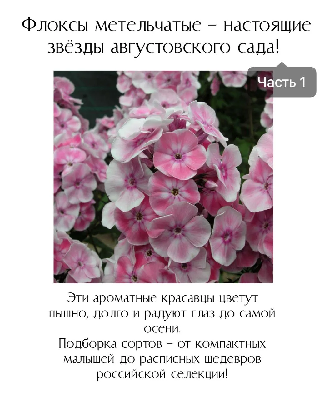 Получить полный список сортов: