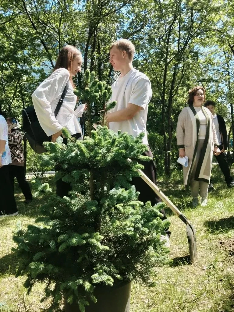 Новая глава в истории школы: 11 «Б» заложил красивую традицию! 🌲🎓  У каждого выпуска — своя история,