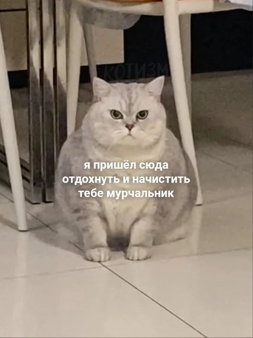 Наш телеграм: https://t.me/votetoprikol90