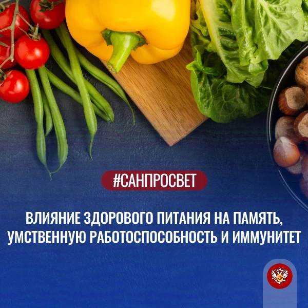 🍽️ Влияние здорового питания на память, умственную работоспособность и иммунитет