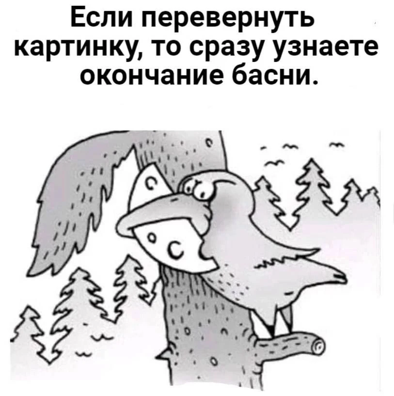 Иллюзия
