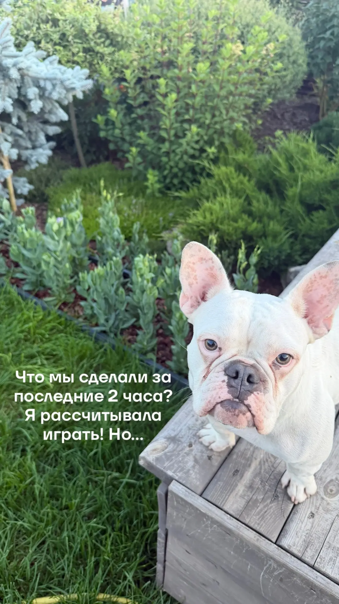 Увидимся с вами завтра🌿